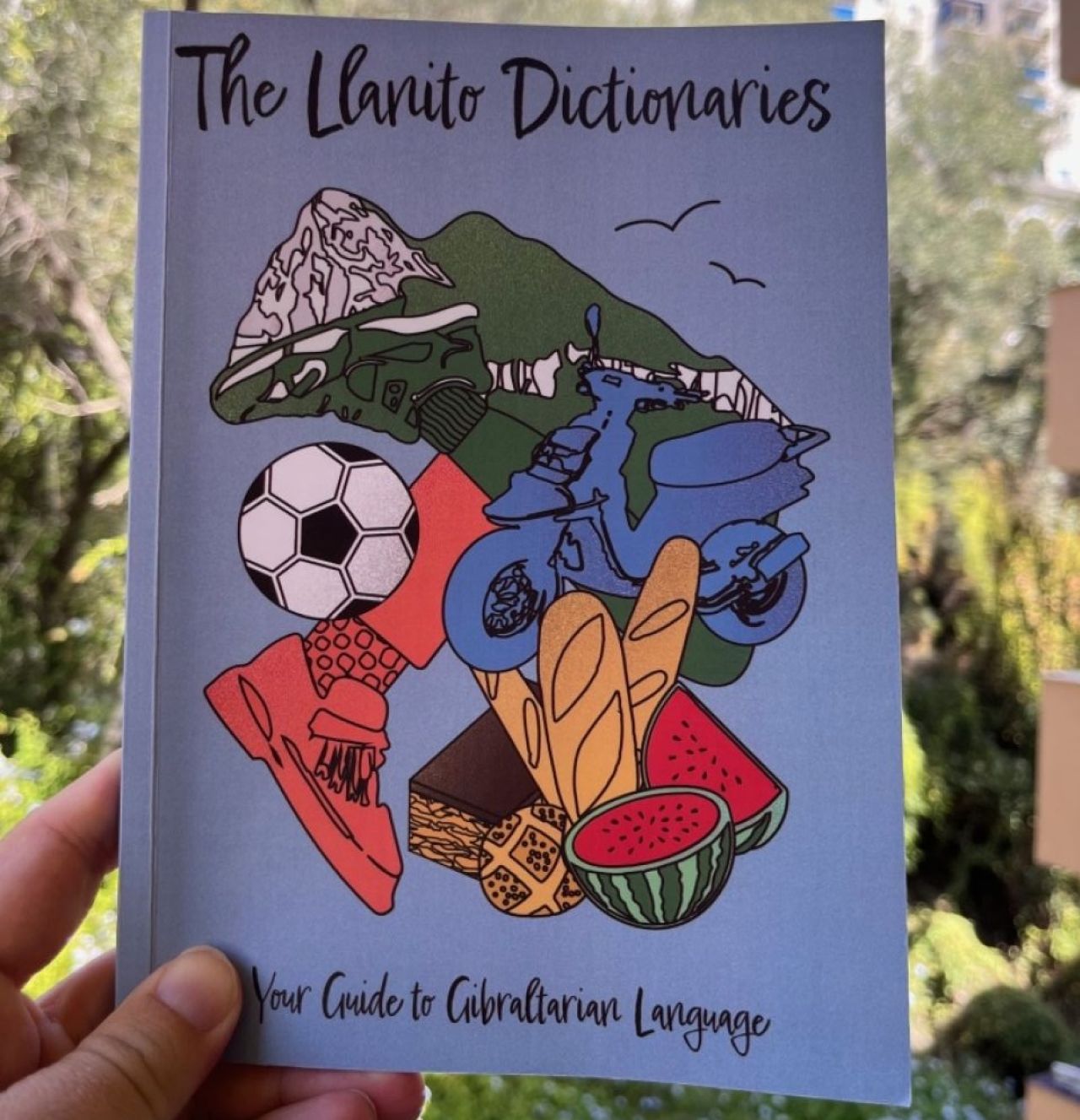 Interesting, But Disappointing: a Review of The Llanito Dictionaries